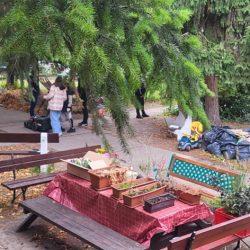 Nyílt nap a Mandákban /Bp100